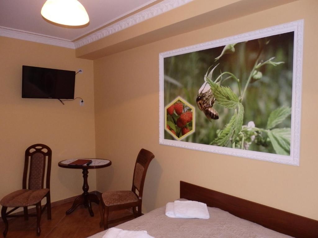 Отели типа «постель и завтрак» Dwór Bartnika Narewka-50