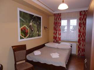 Отели типа «постель и завтрак» Dwór Bartnika Narewka Двухместный номер с 1 кроватью-4